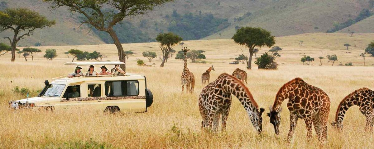 5-Day Kenya Wildlife Budget Safari