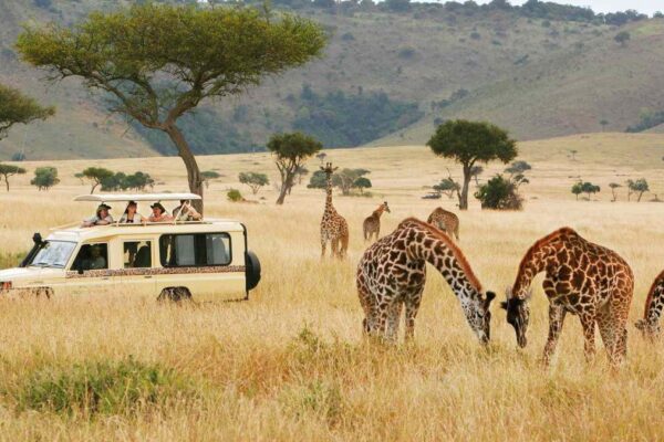 5-Day Kenya Wildlife Budget Safari