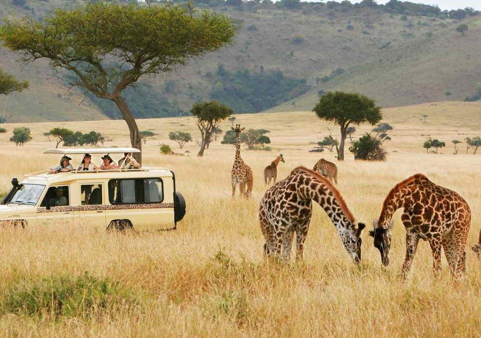 5-Day Kenya Wildlife Budget Safari