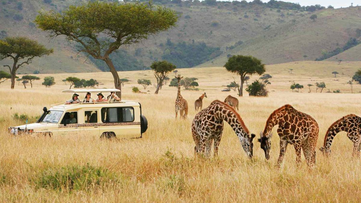 5-Day Kenya Wildlife Budget Safari