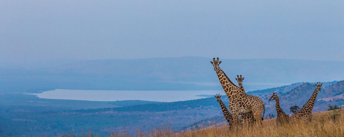 7 Days One Week Rwanda Holiday Safari Tour