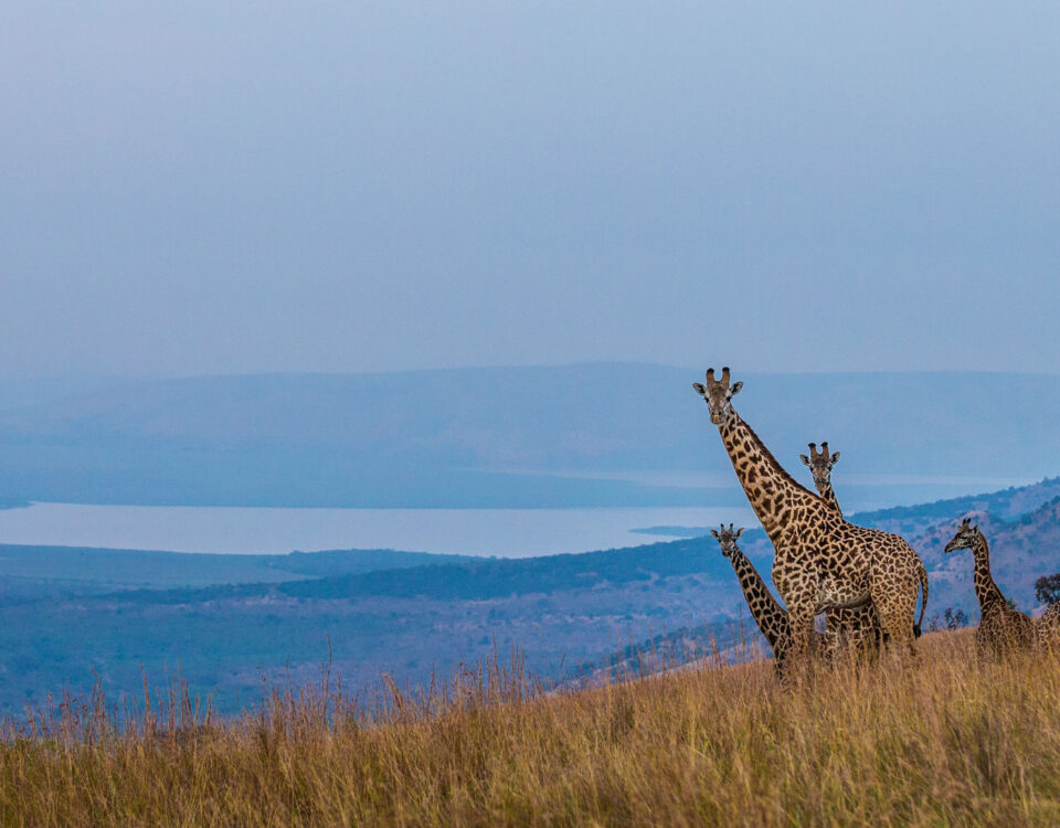 7 Days One Week Rwanda Holiday Safari Tour