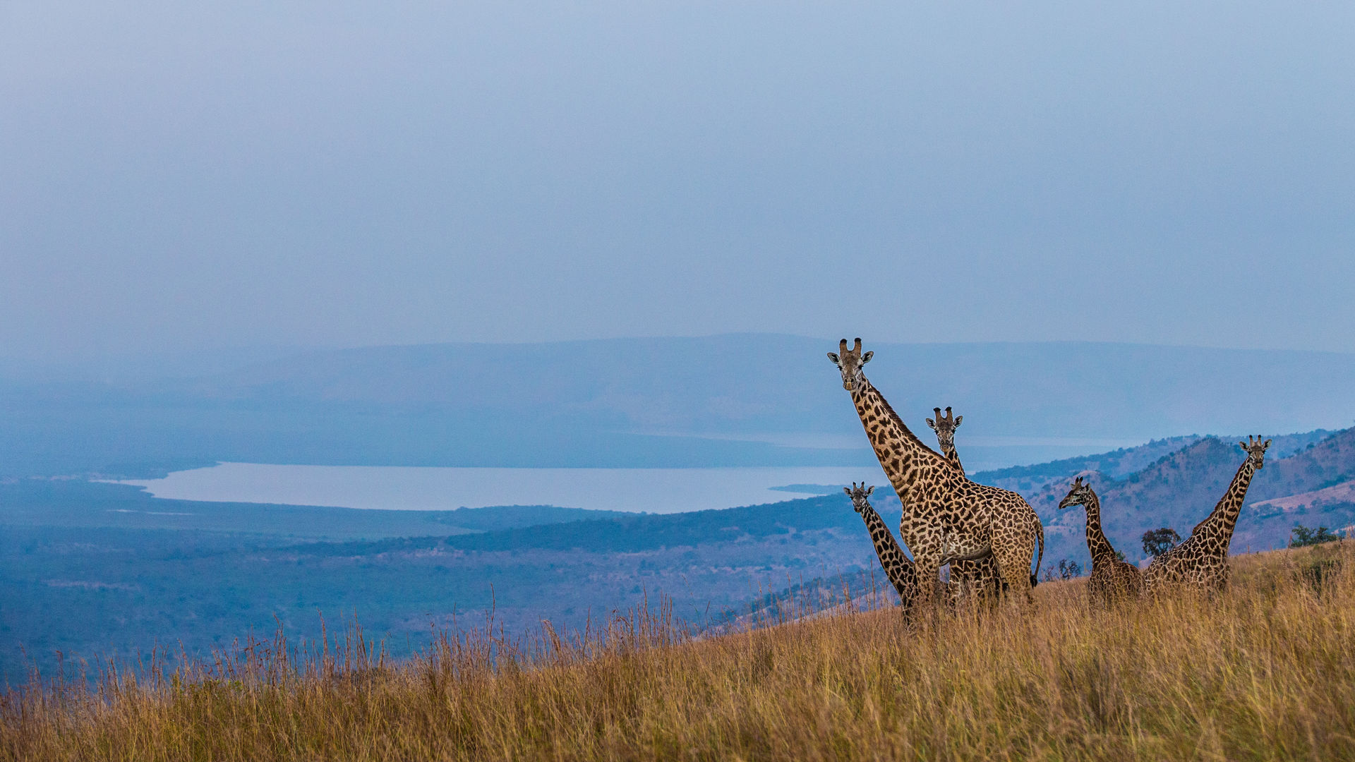 7 Days One Week Rwanda Holiday Safari Tour