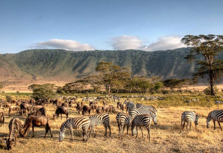 8-Day Tanzania Northern Circuit Safari