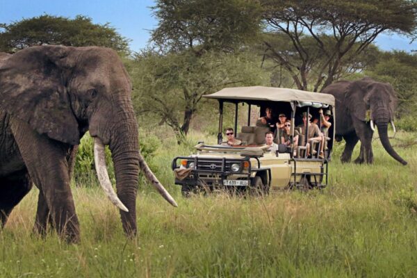 8-Day Tanzania Northern Circuit Safari