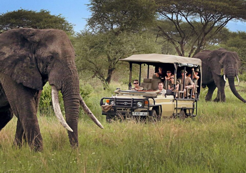 19 Days East Africa Safari | Kenya, Tanzania, Uganda & Rwanda Gorilla Trekking Tour
