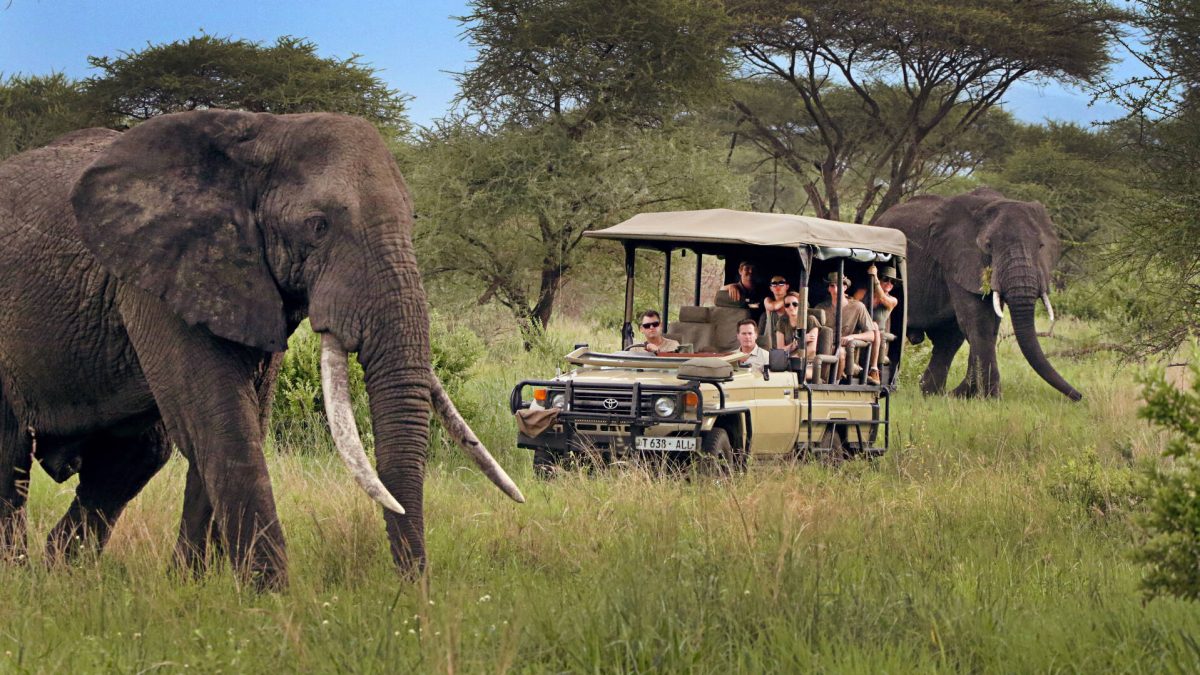 8-Day Tanzania Northern Circuit Safari