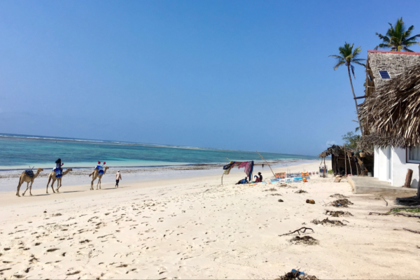 9-Day Magical Kenya Wildlife Safari and Beach Holiday