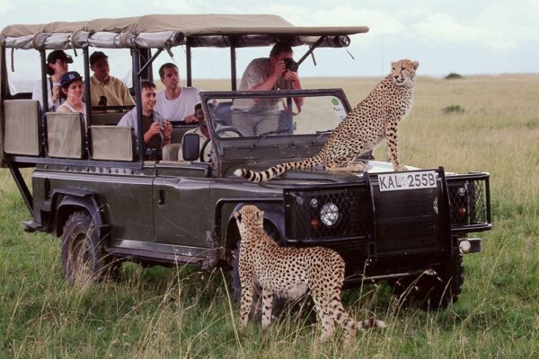 9-Day Unforgettable Kenya Game Drive Safari