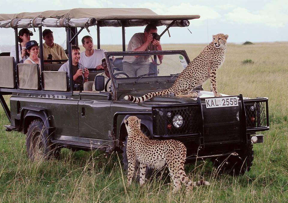 9-Day Unforgettable Kenya Game Drive Safari