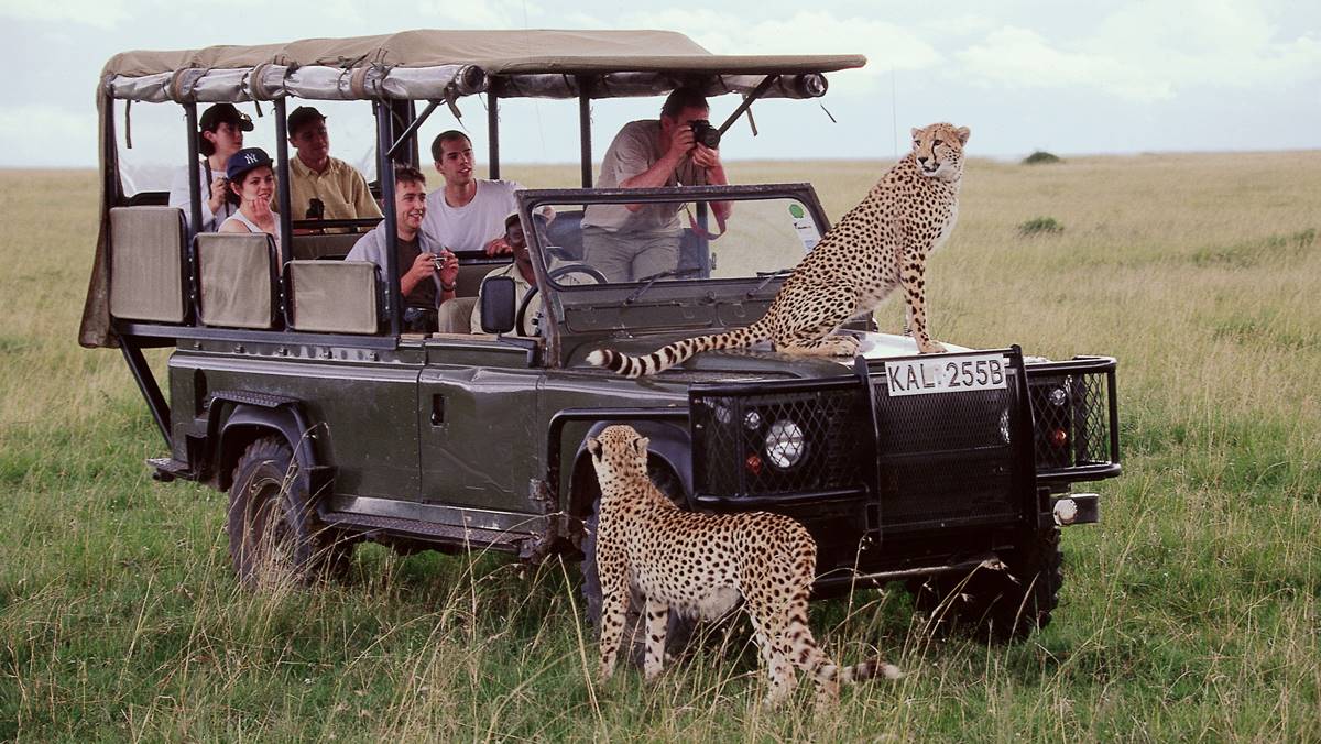 9-Day Unforgettable Kenya Game Drive Safari