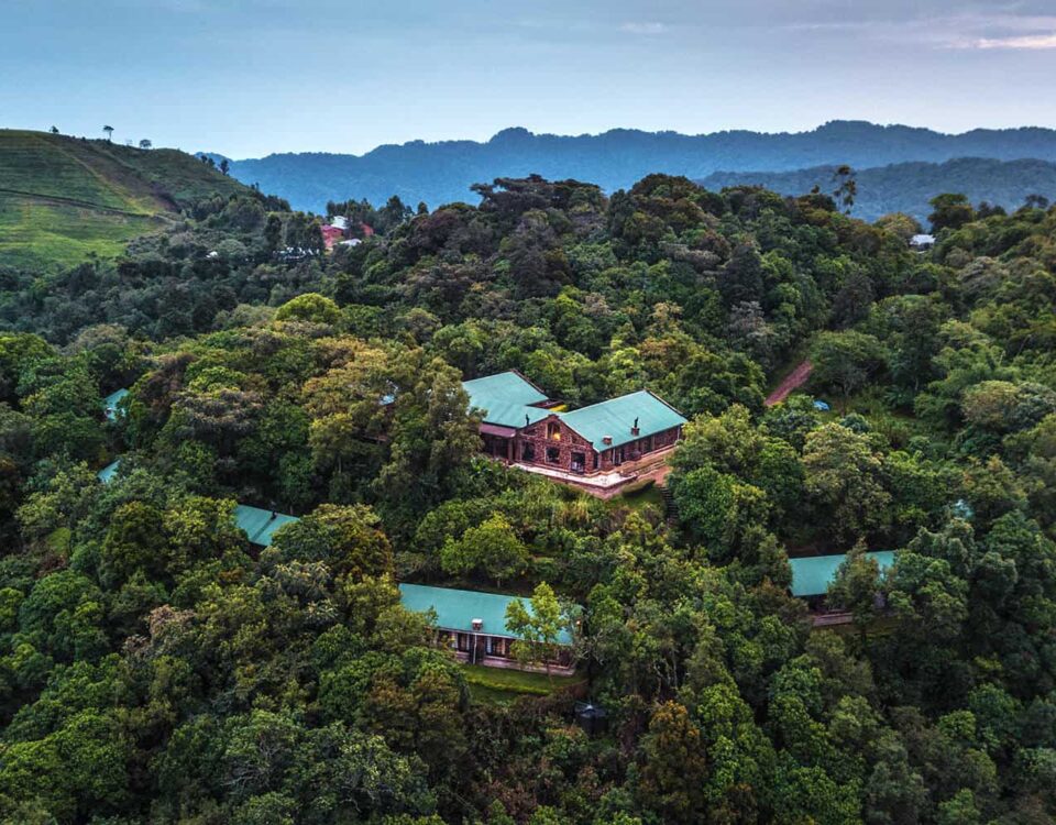 Clouds Mountain Gorilla Lodge