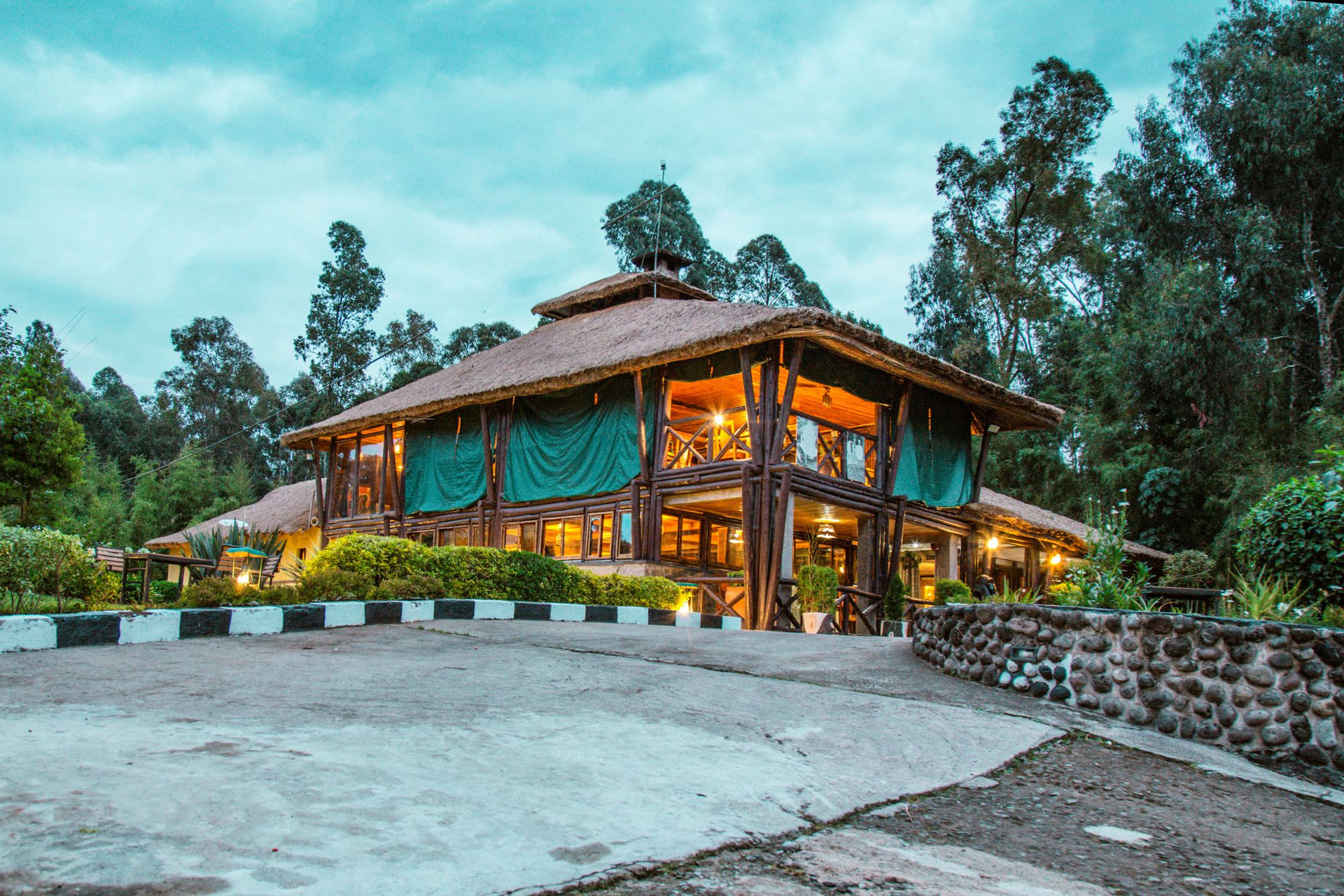 Da Vinci Gorilla Lodge