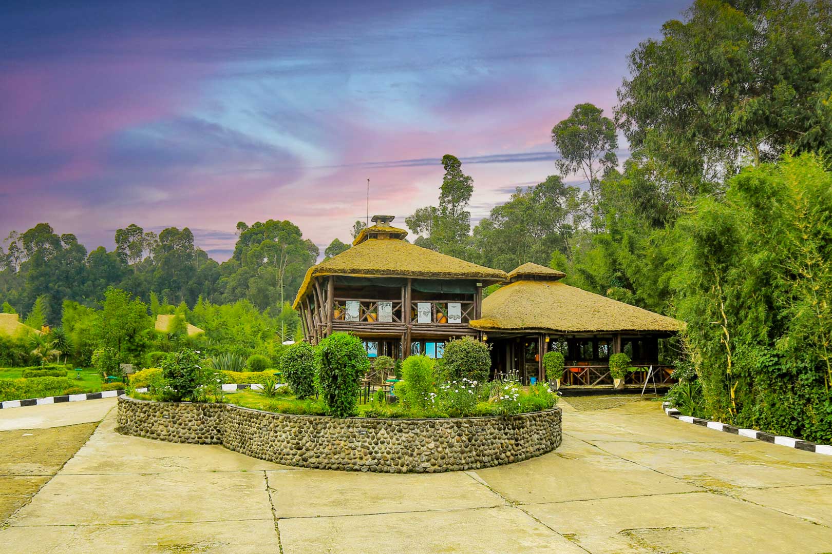 Da Vinci Gorilla Lodge