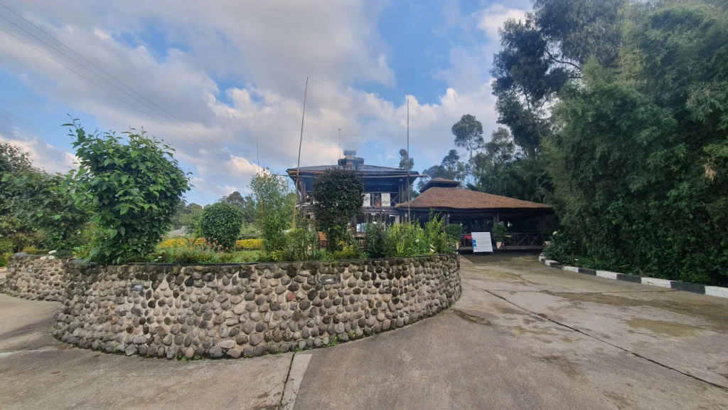 Da Vinci Gorilla Lodge