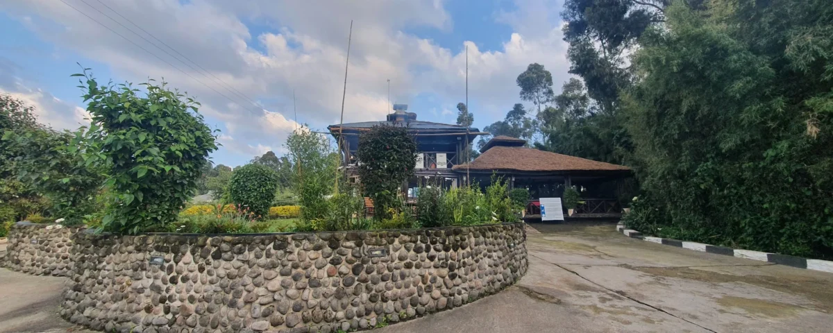 Da Vinci Gorilla Lodge