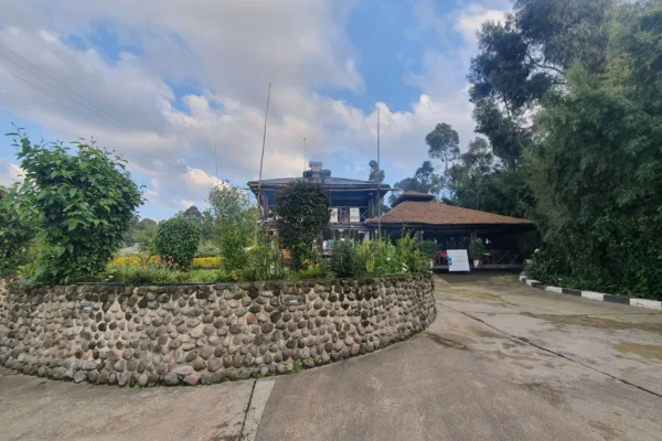 Da Vinci Gorilla Lodge