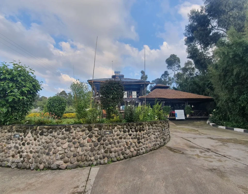 Da Vinci Gorilla Lodge