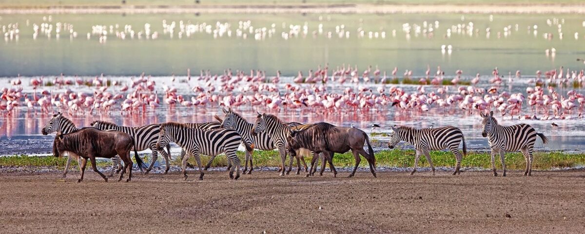 Lake Manyara National Park