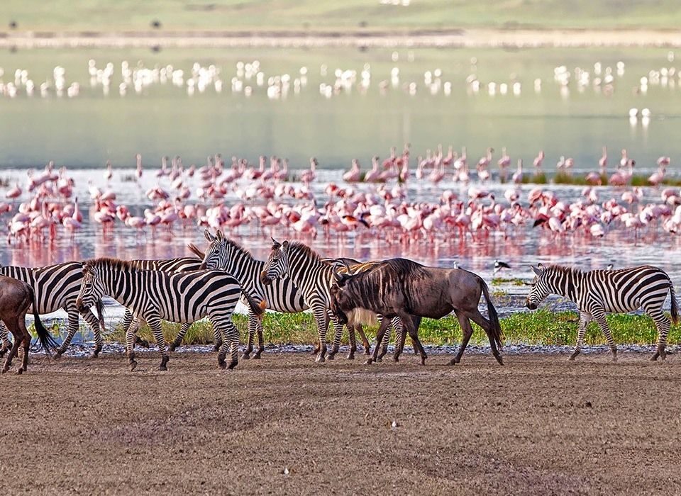 Lake Manyara National Park