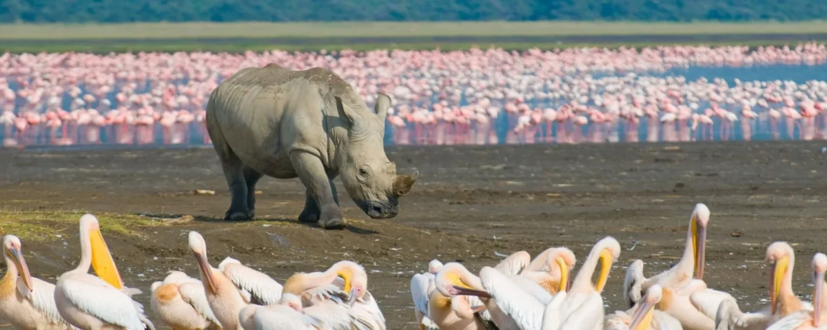 Lake Nakuru National Park