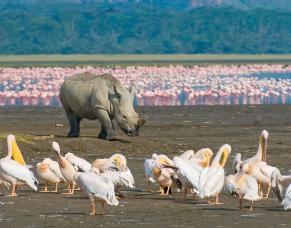 Lake Nakuru National Park
