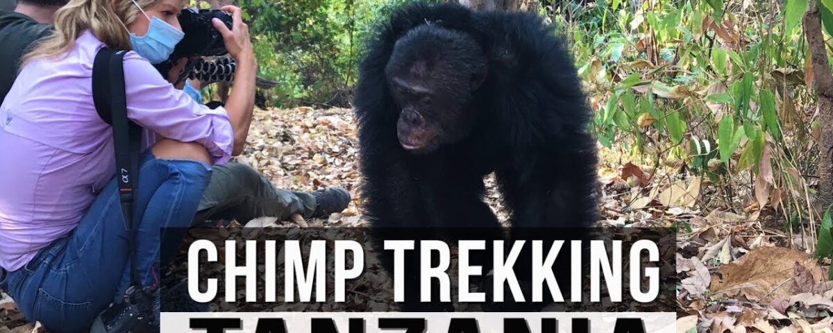 Mahale National Park