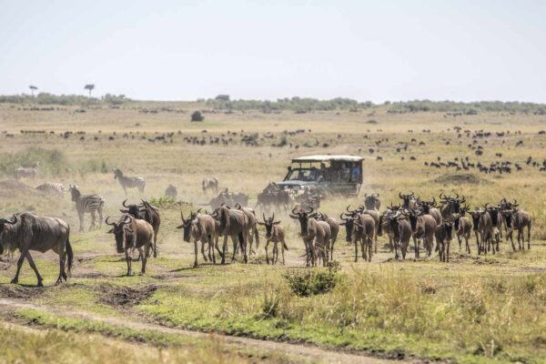 Masai Mara National Park