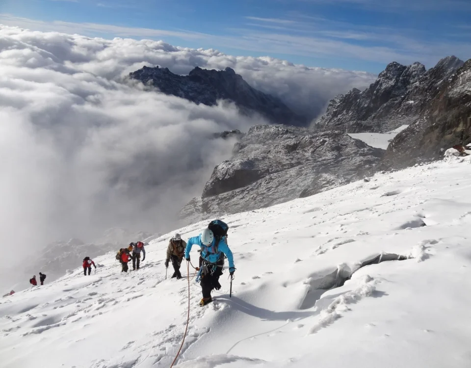 Mount Rwenzori National Park