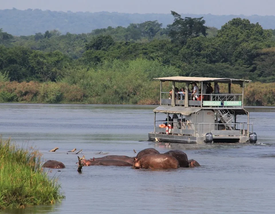 8 Days Uganda Safari Experience: Gorilla Trekking & African Big Five Adventure