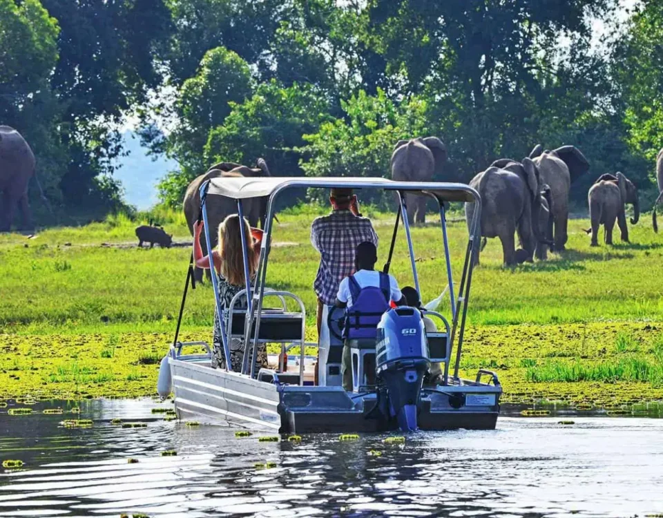 Murchison Falls National Park.