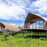 Ngorongoro Forest Camp