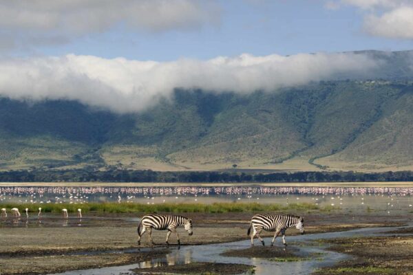 Ngorongoro- Conservation