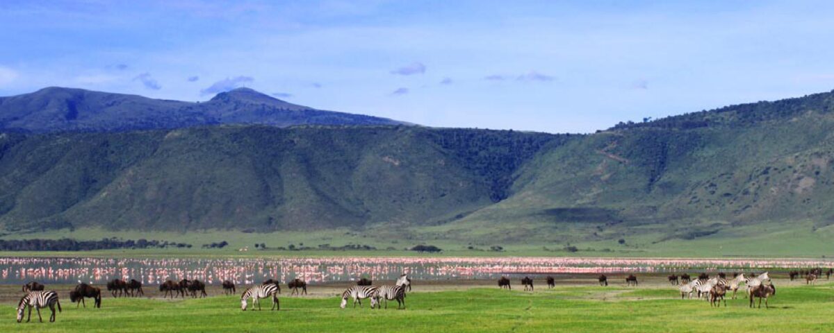 Ngorongoro Conservation Crater