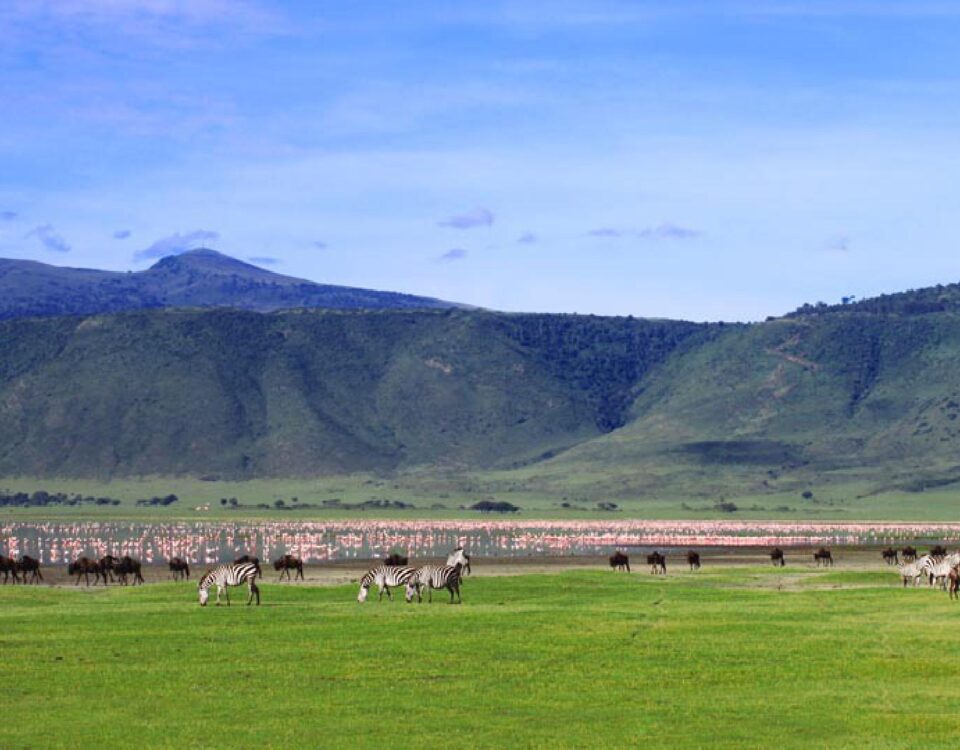 Ngorongoro Conservation Crater