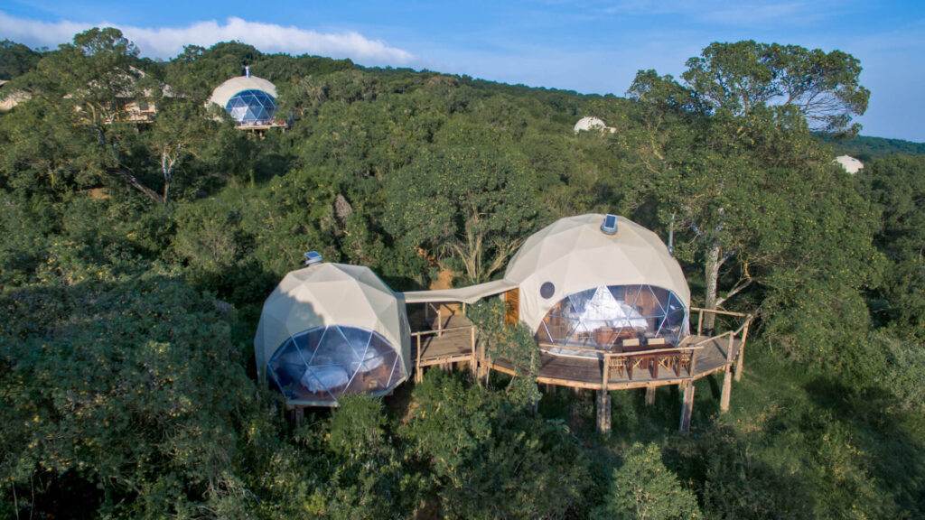 Ngorongoro Forest Camp