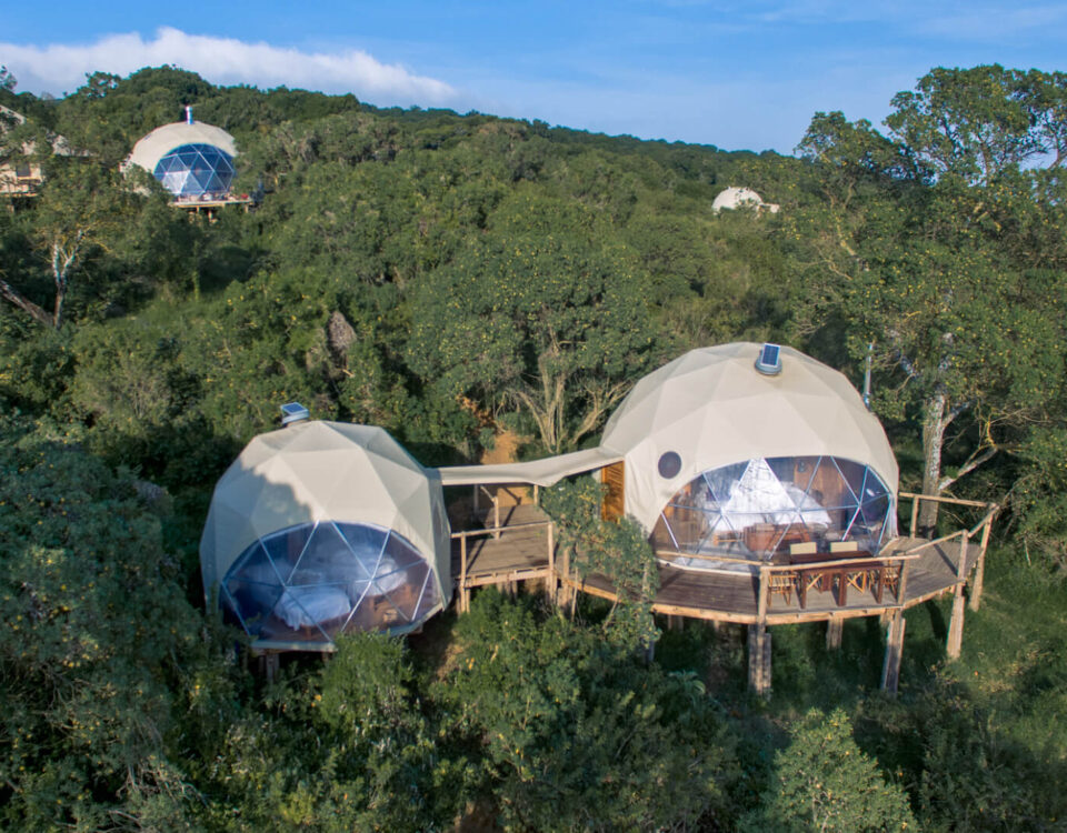 Ngorongoro Forest Camp