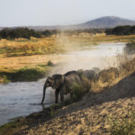 Ruaha National Park