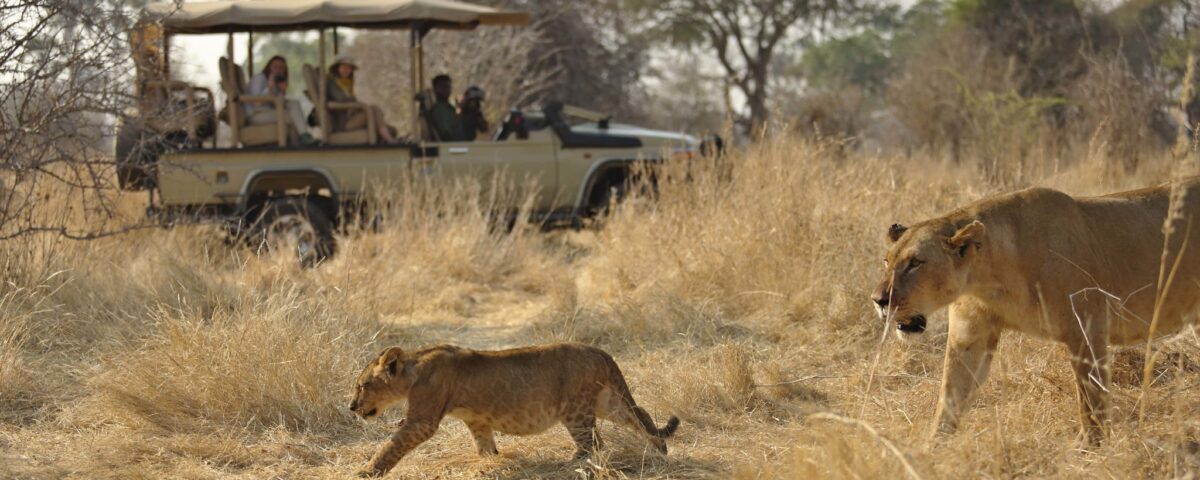 Ruaha National Park