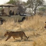 Ruaha National Park