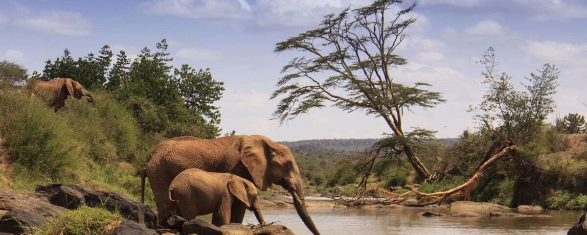 Samburu National Park