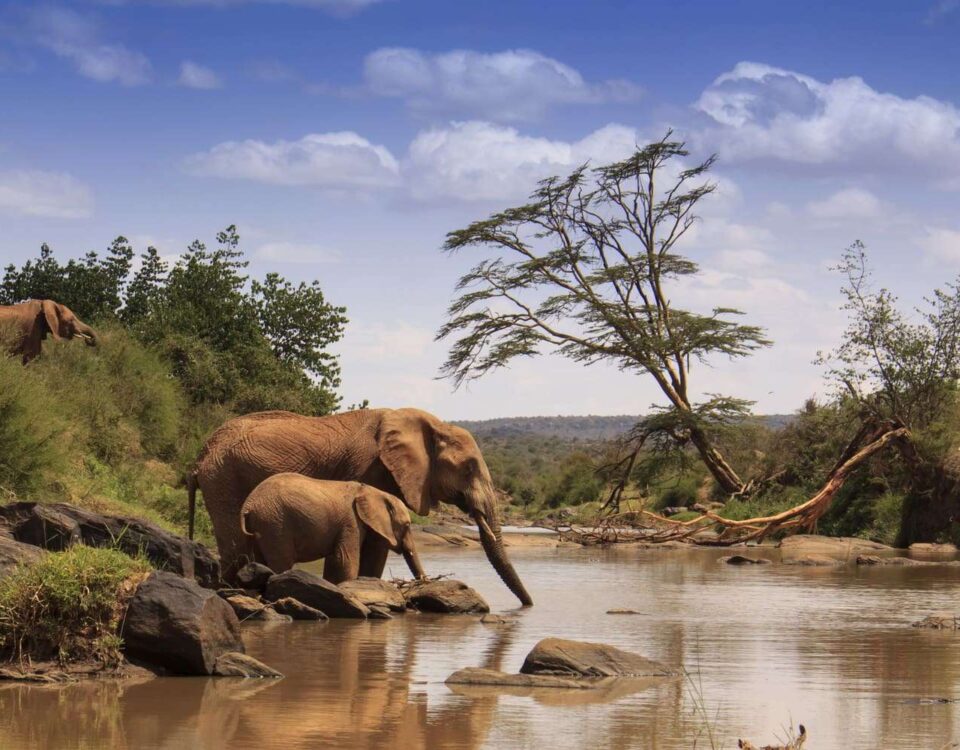 Samburu National Park