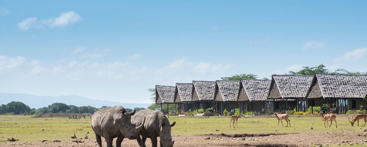 Sweetwaters Serena Camp.