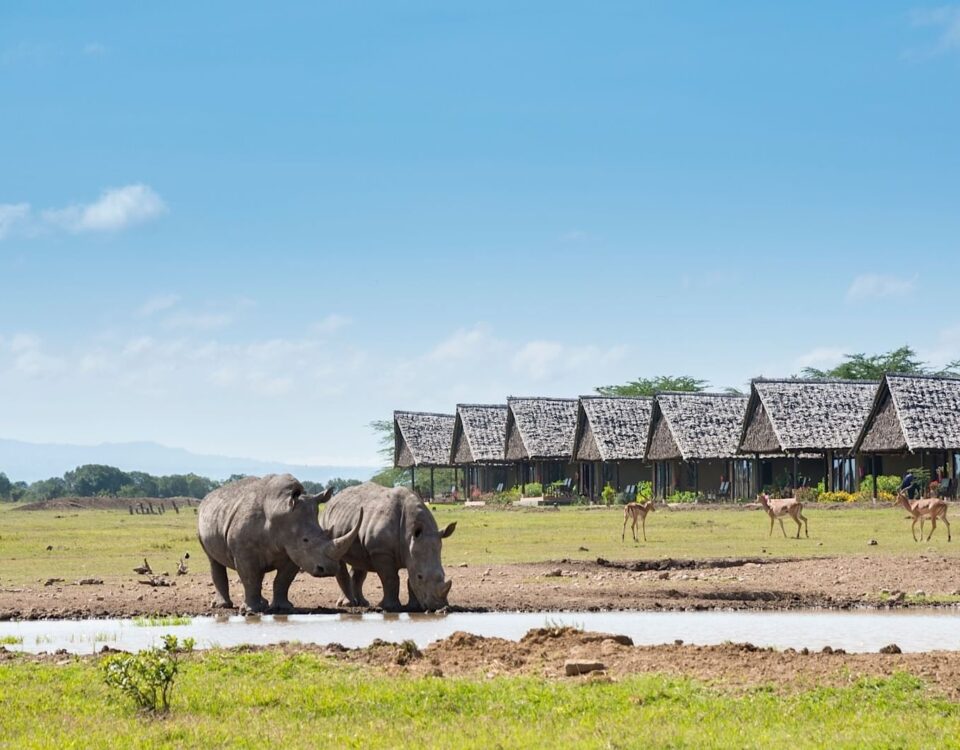 Sweetwaters Serena Camp.
