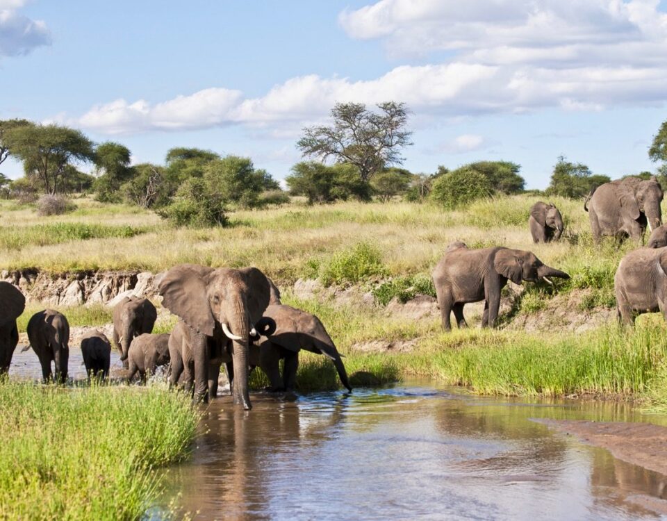 Tarangire National Park