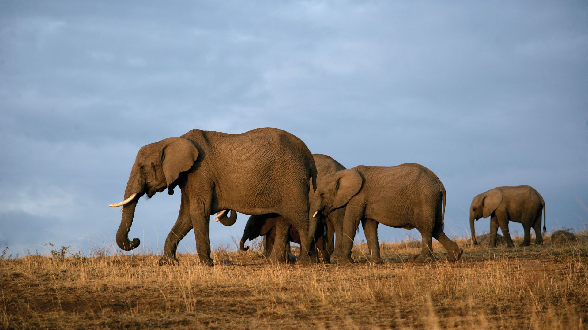 Tsavo East National Park