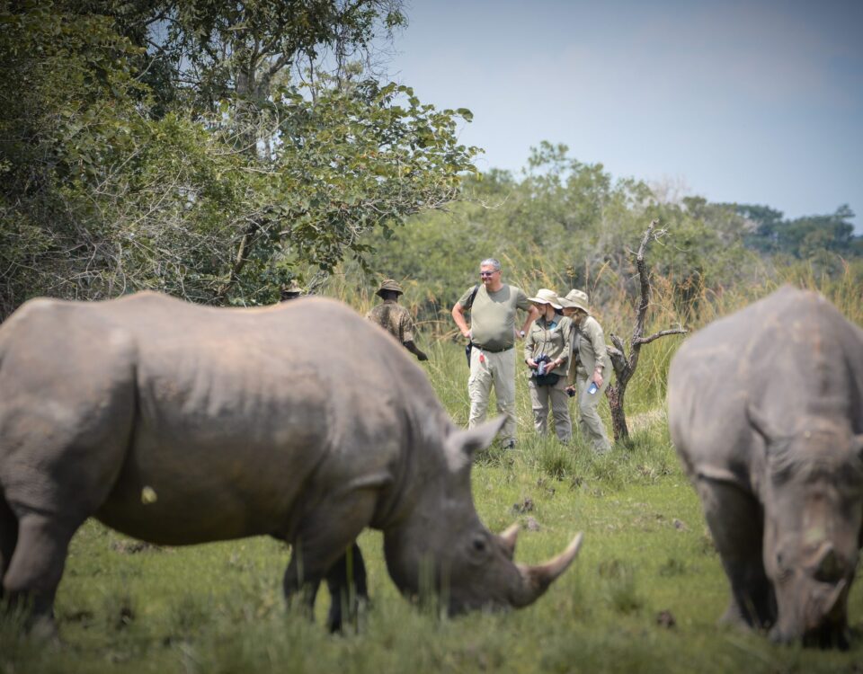 Ziwa Rhino Sanctuary