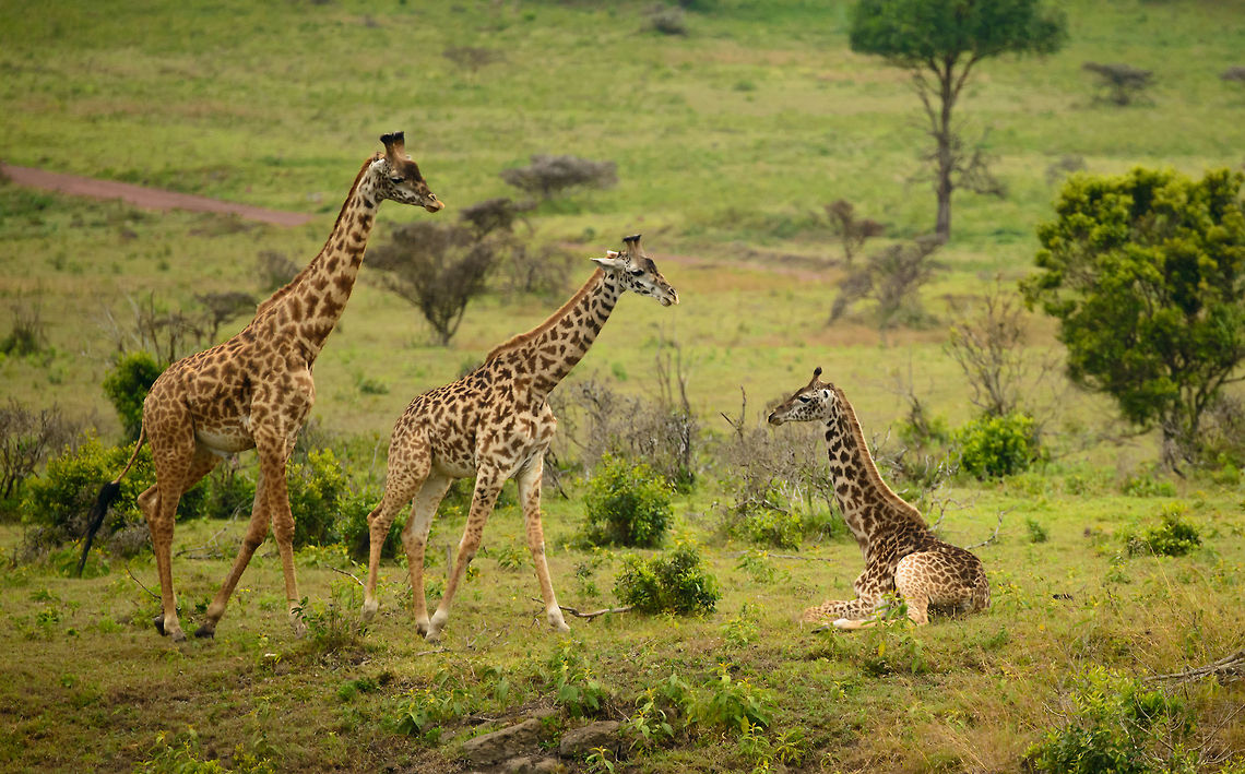 Arusha National Park