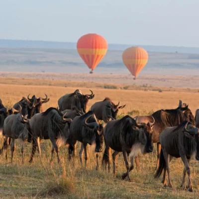 balloon-safari Kenya Safaris