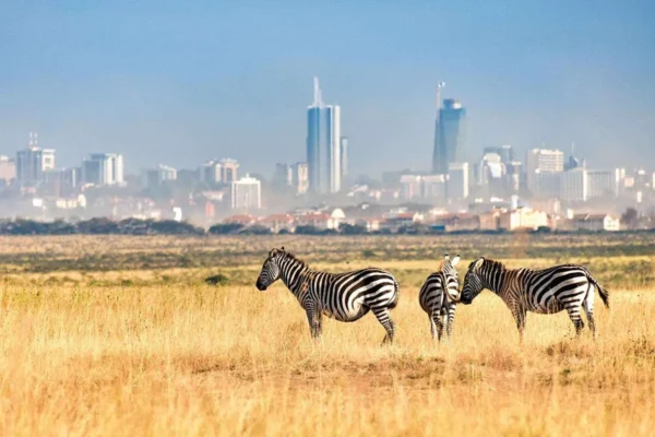 nairobi-national-park01